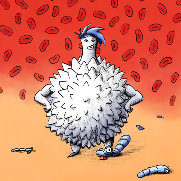 White blood cell from Super Vaccines